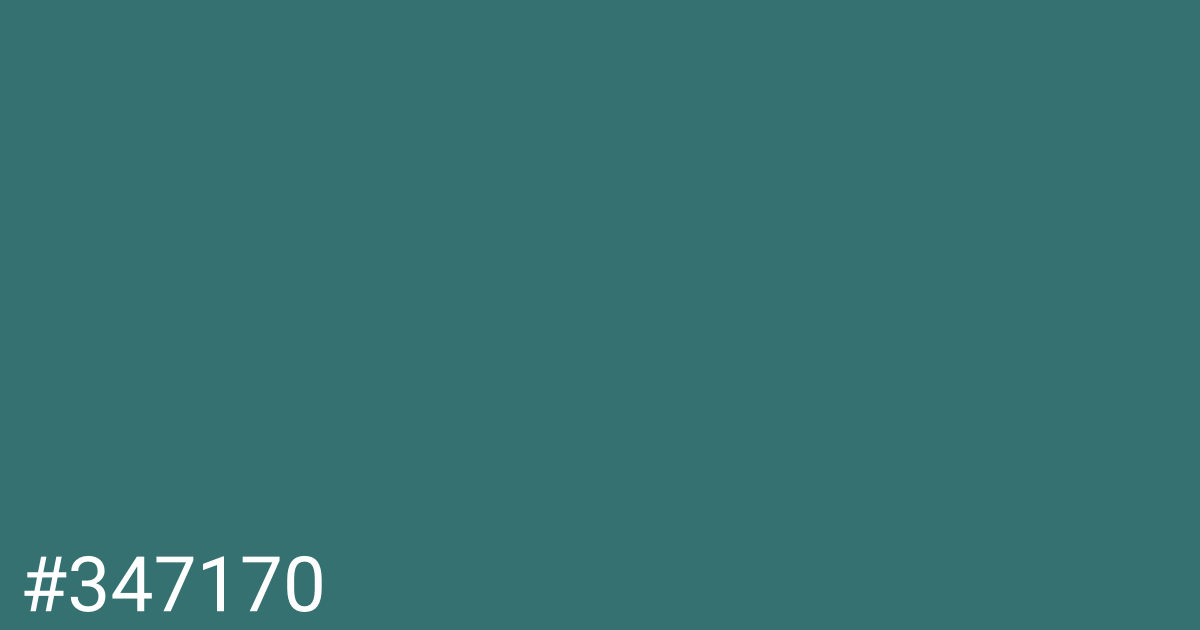 Hex color #347170 graphic