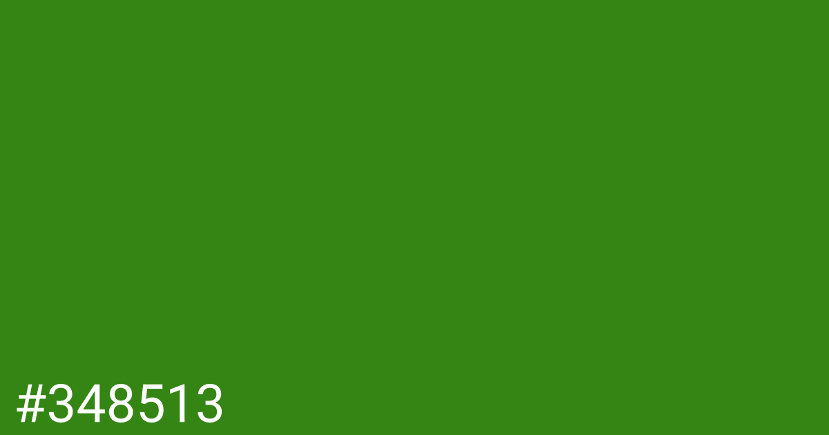 Hex color #348513 graphic