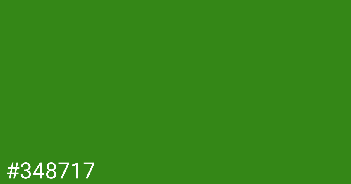 Hex color #348717 graphic