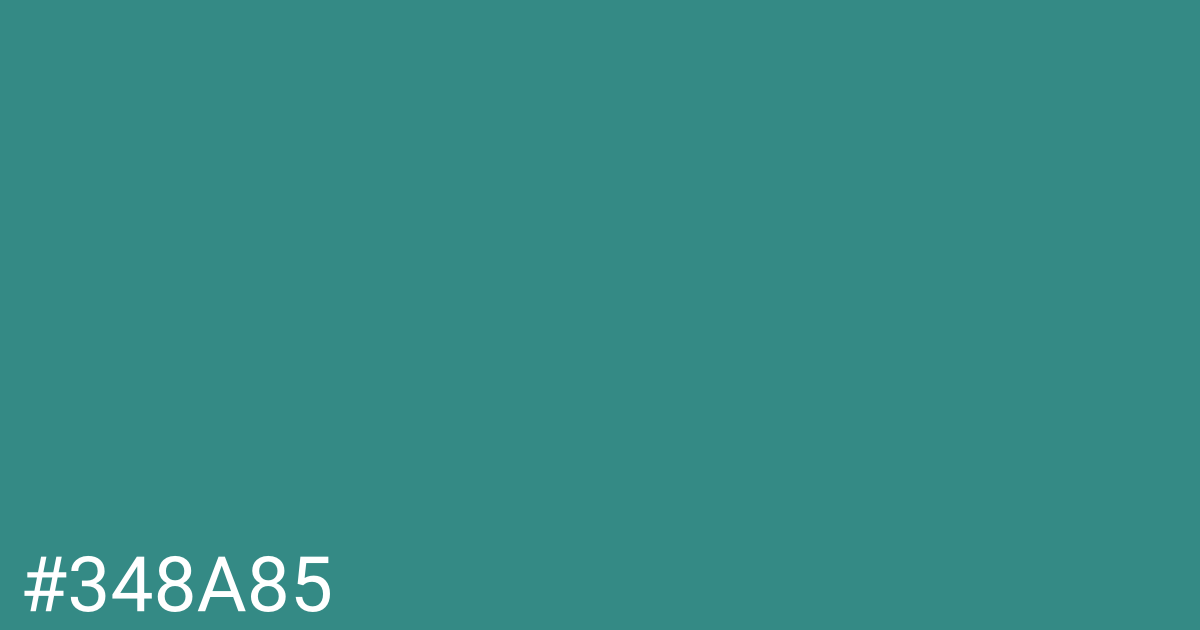 Hex color #348a85 graphic