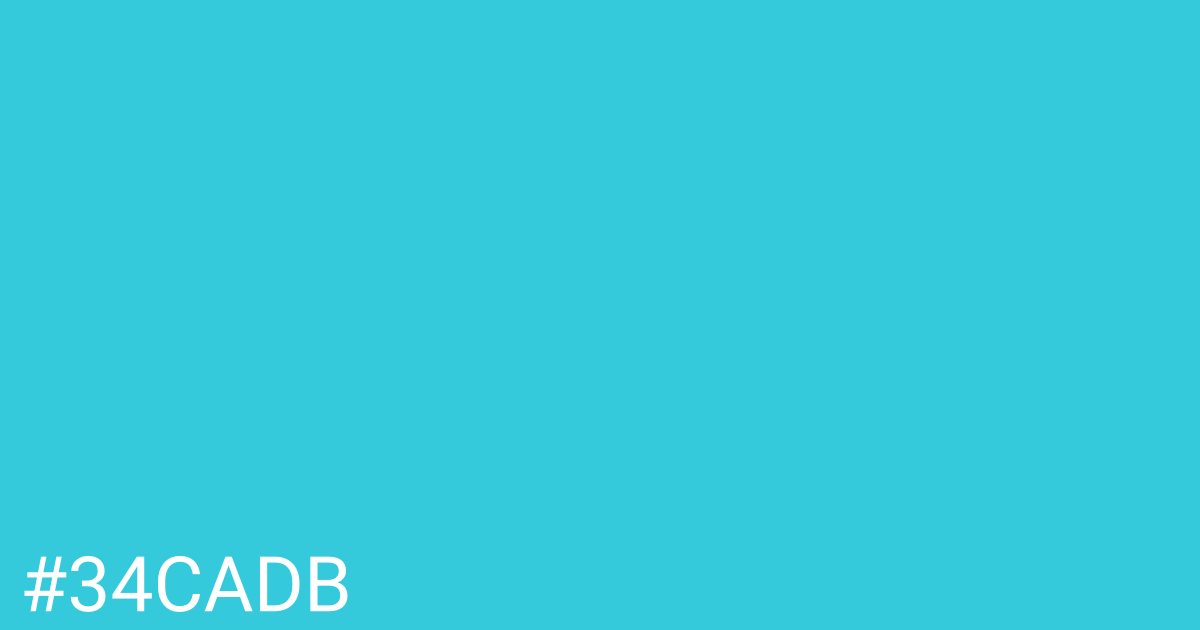 Hex color #34cadb graphic