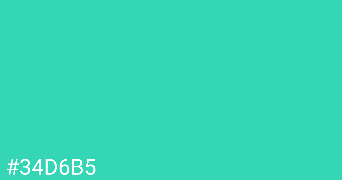 Hex color #34d6b5 graphic