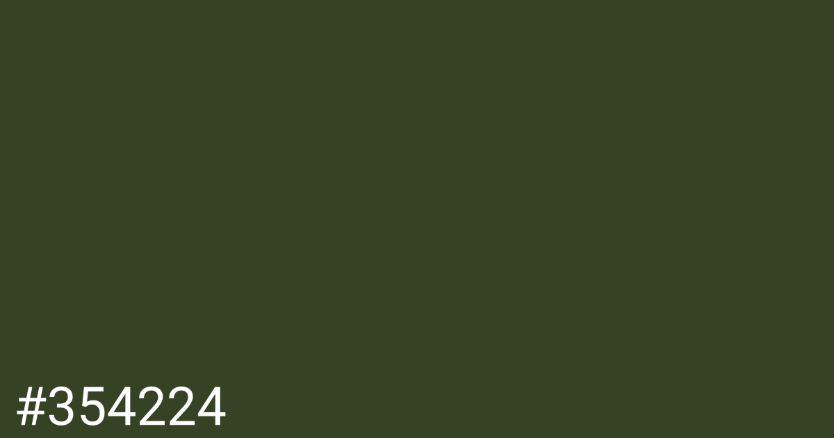 Hex color #354224 graphic