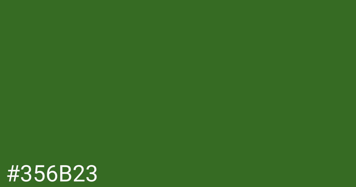 Hex color #356b23 graphic