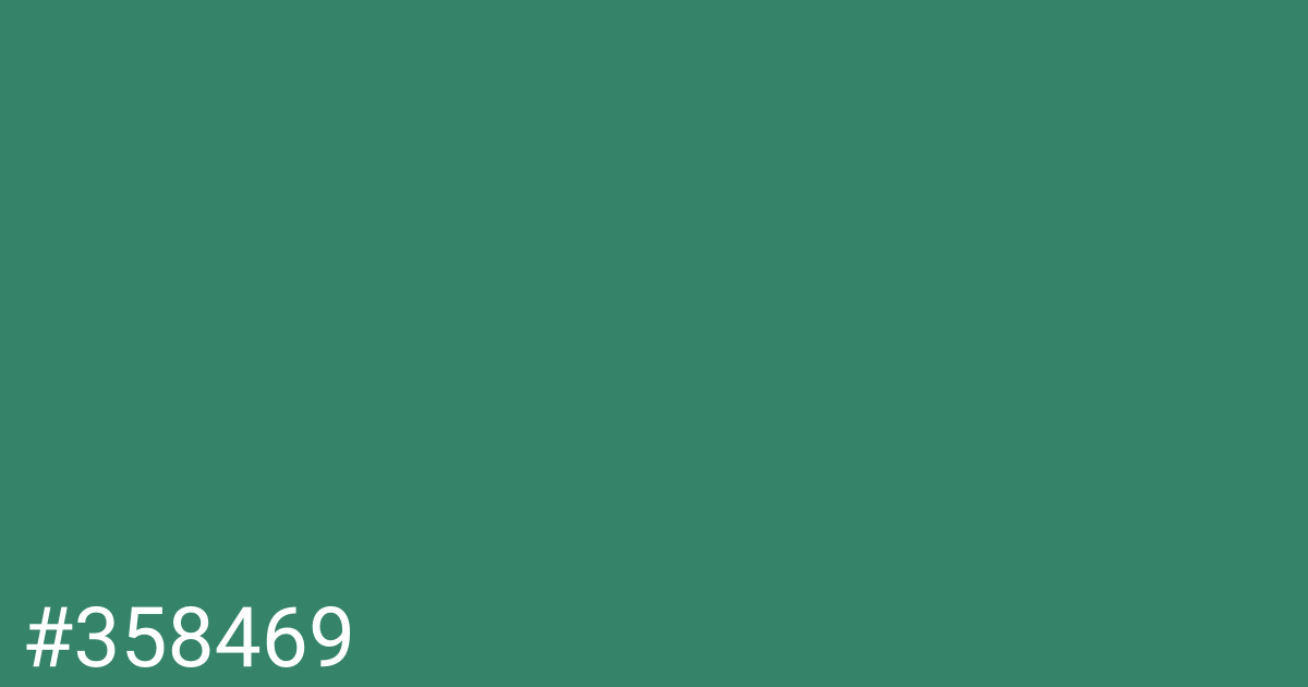 Hex color #358469 graphic