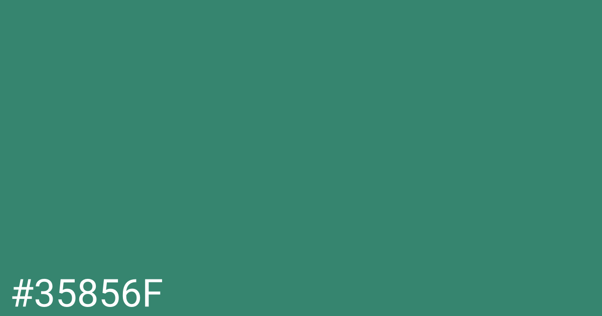 Hex color #35856f graphic