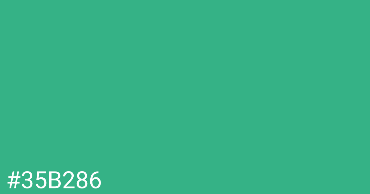 Hex color #35b286 graphic