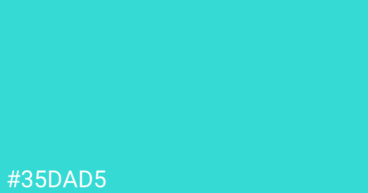 Hex color #35dad5 graphic
