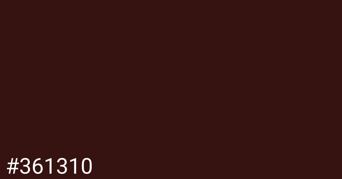 Hex color #361310 graphic