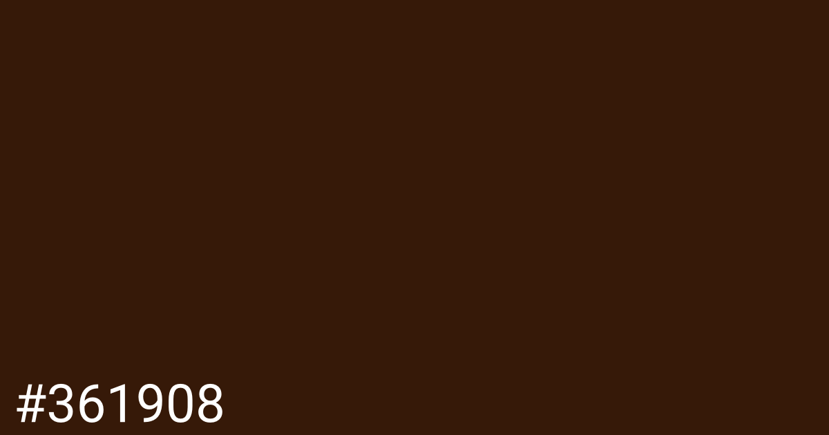 Hex color #361908 graphic