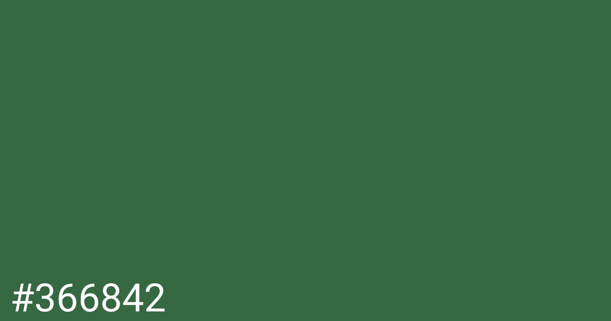 Hex color #366842 graphic