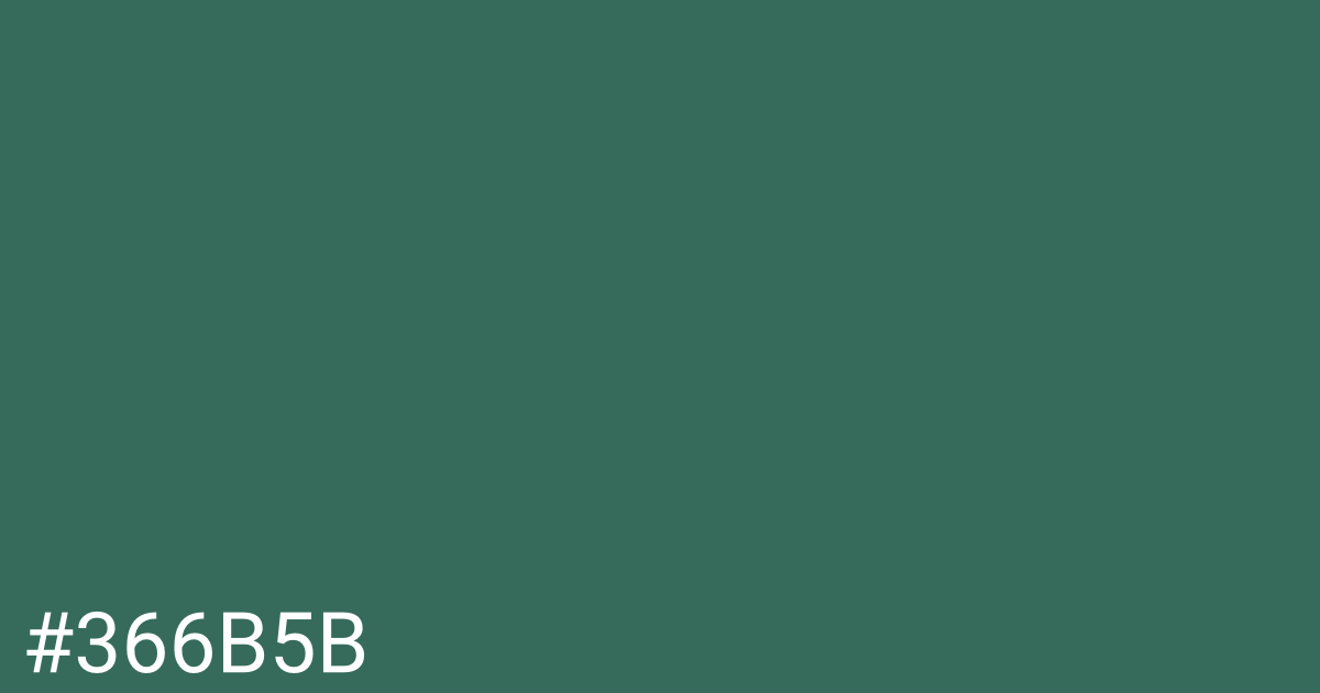 Hex color #366b5b graphic