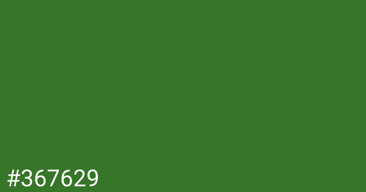 Hex color #367629 graphic