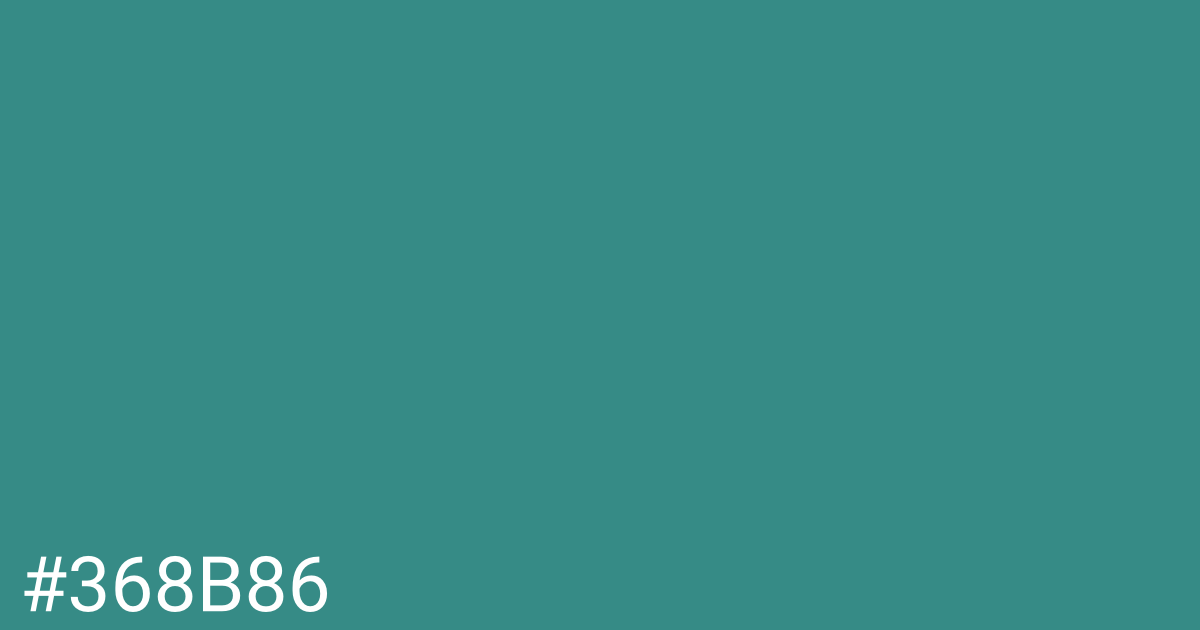 Hex color #368b86 graphic