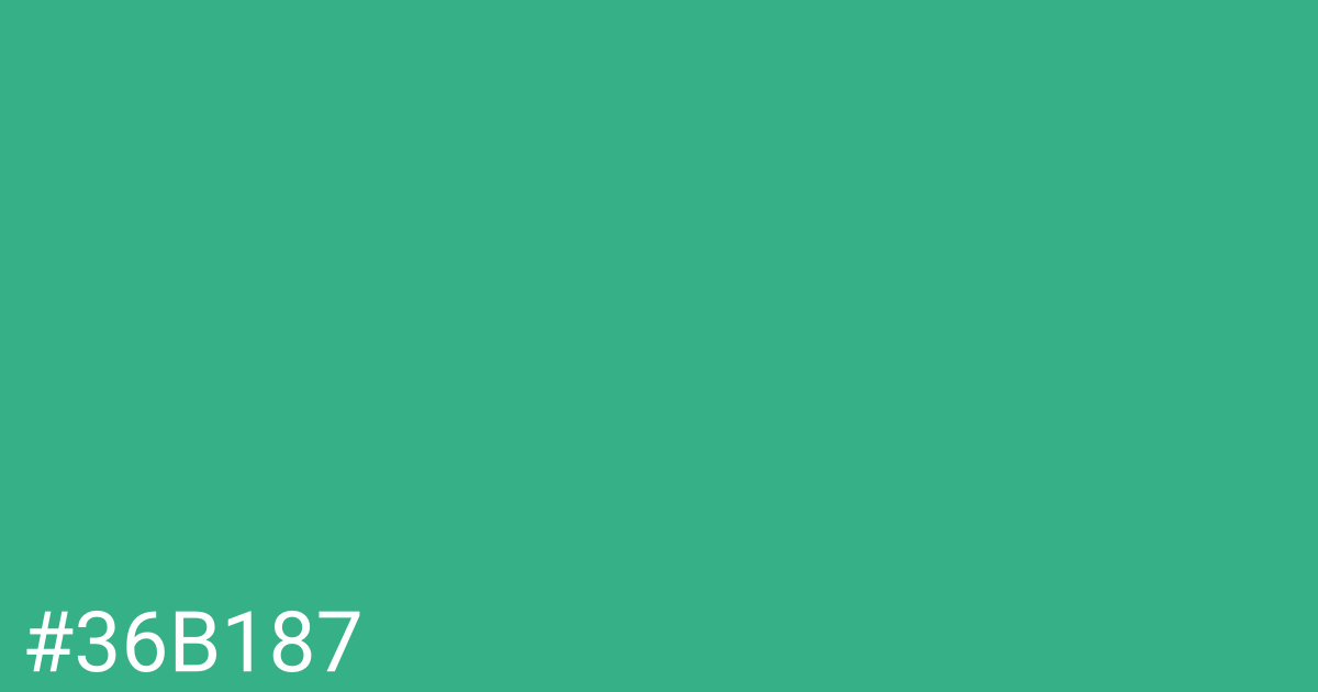 Hex color #36b187 graphic