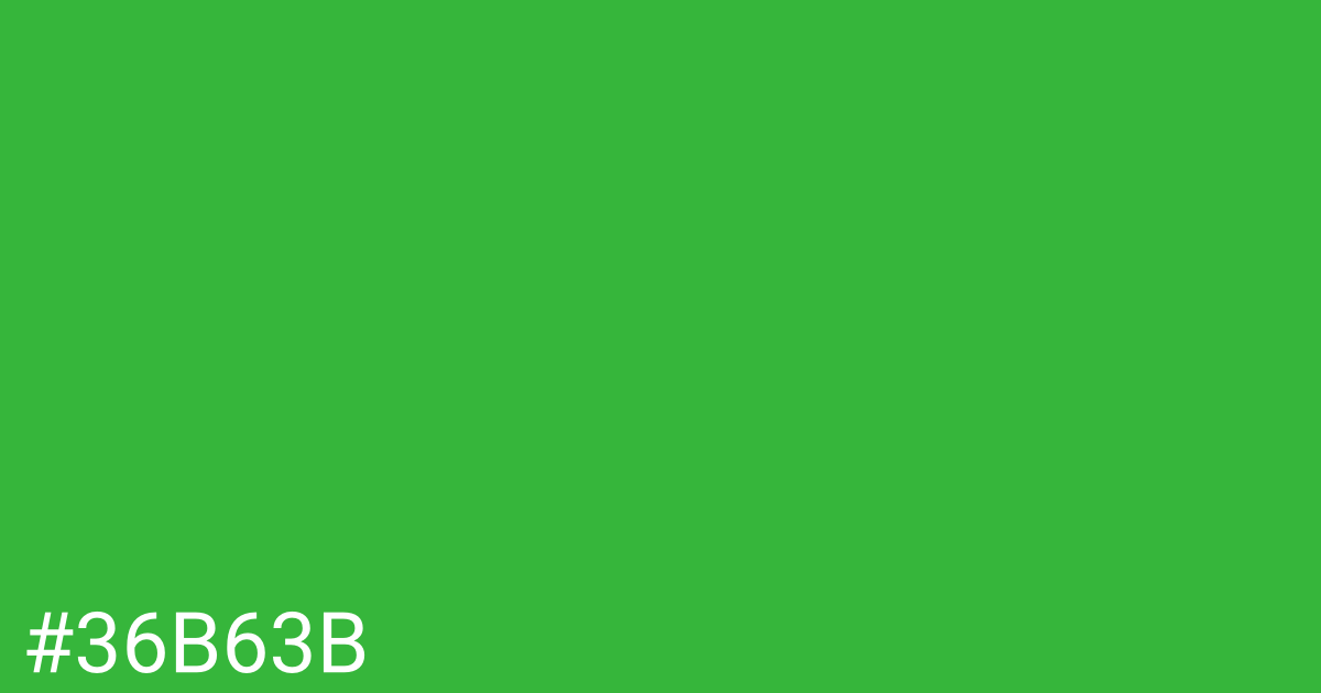 Hex color #36b63b graphic