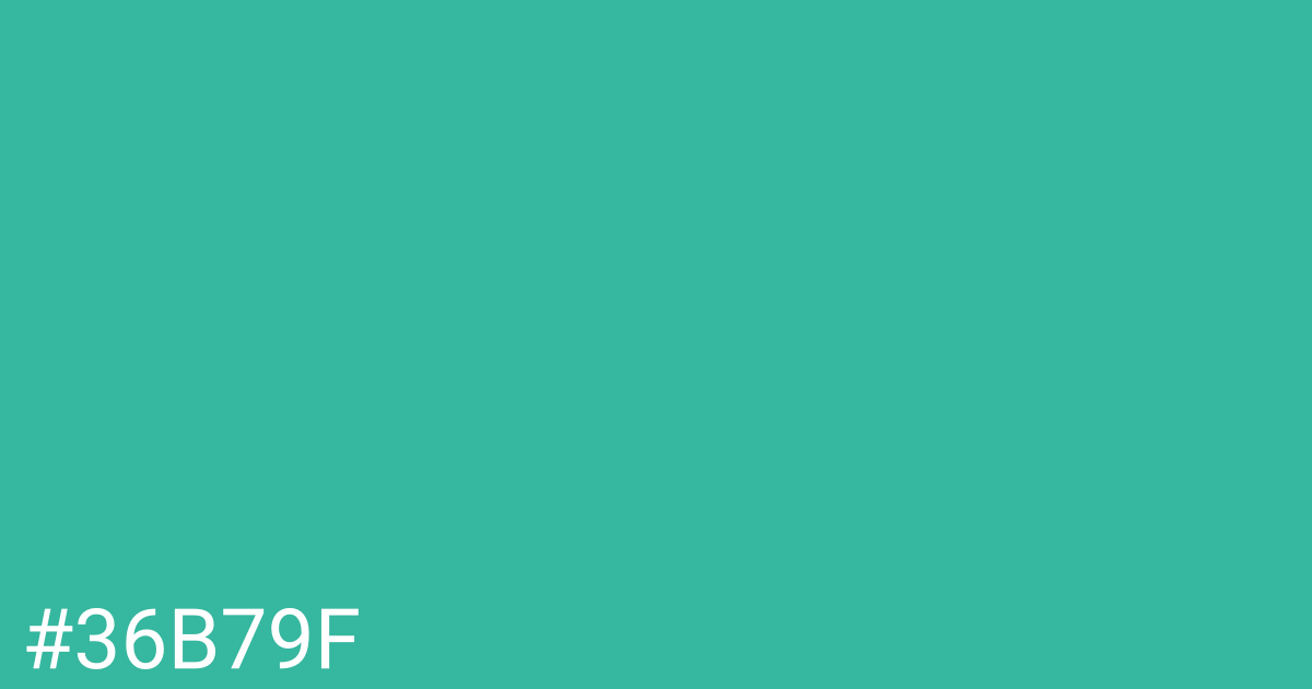 Hex color #36b79f graphic