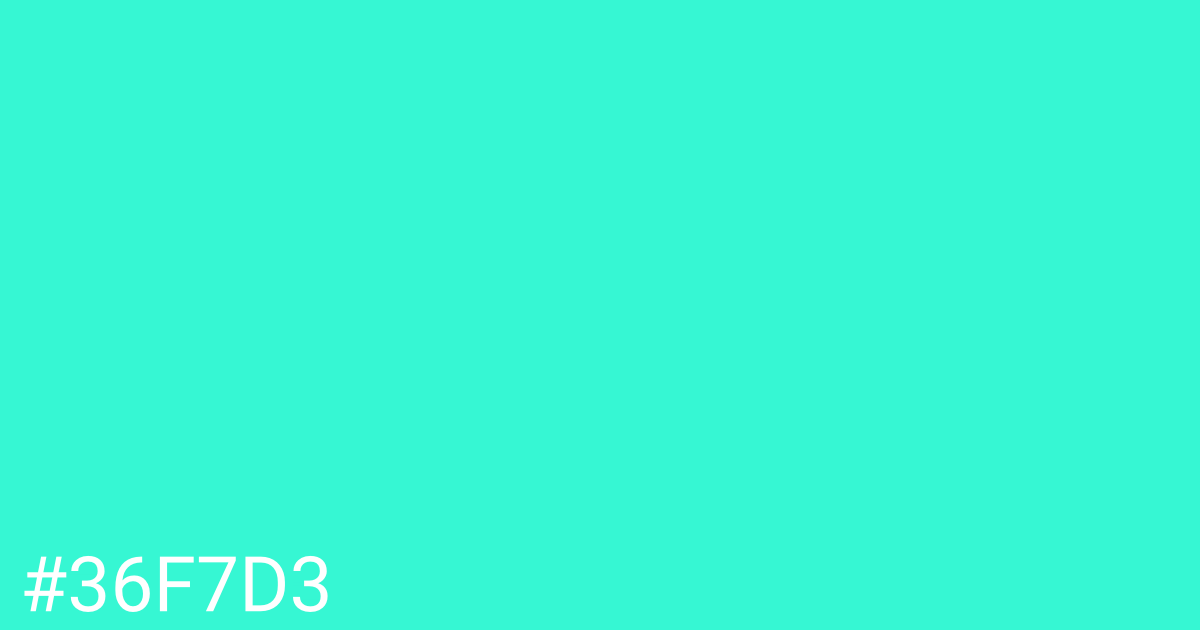 Hex color #36f7d3 graphic
