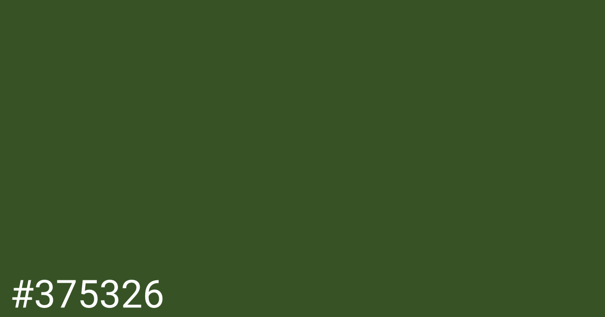 Hex color #375326 graphic