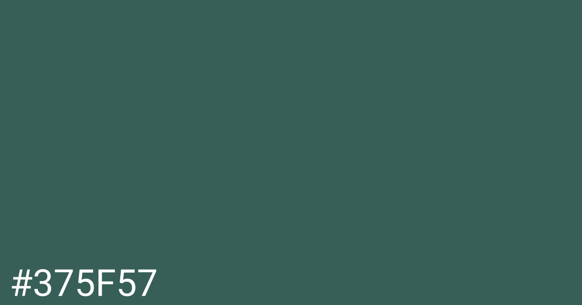 Hex color #375f57 graphic