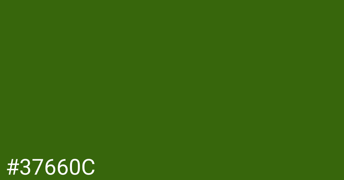 Hex color #37660c graphic