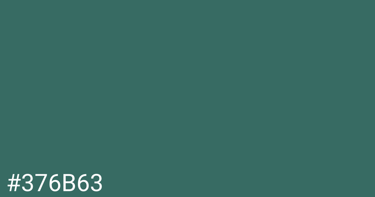 Hex color #376b63 graphic