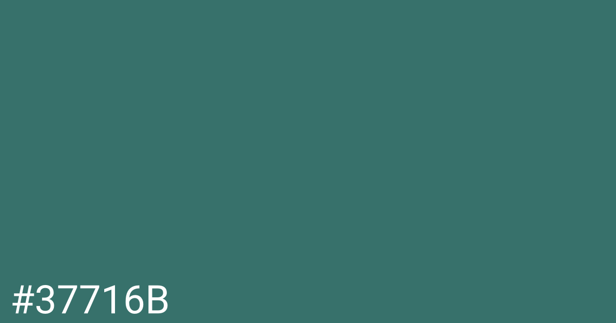 Hex color #37716b graphic