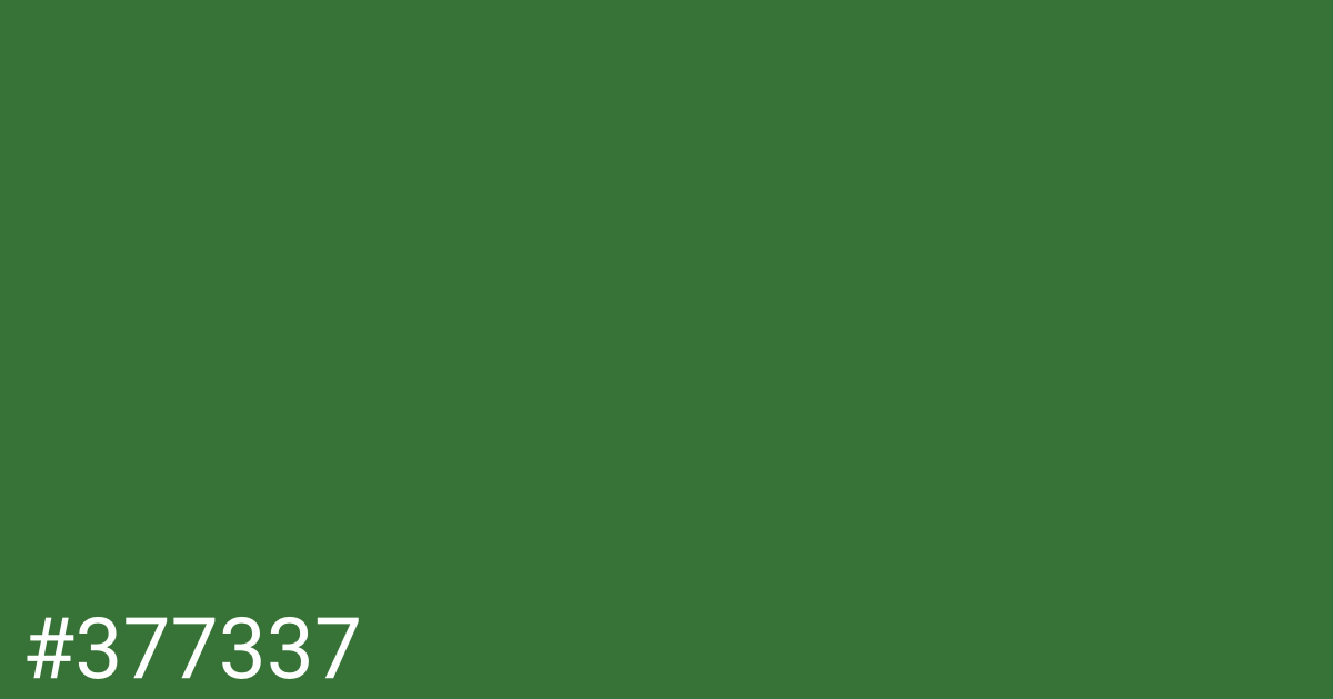 Hex color #377337 graphic