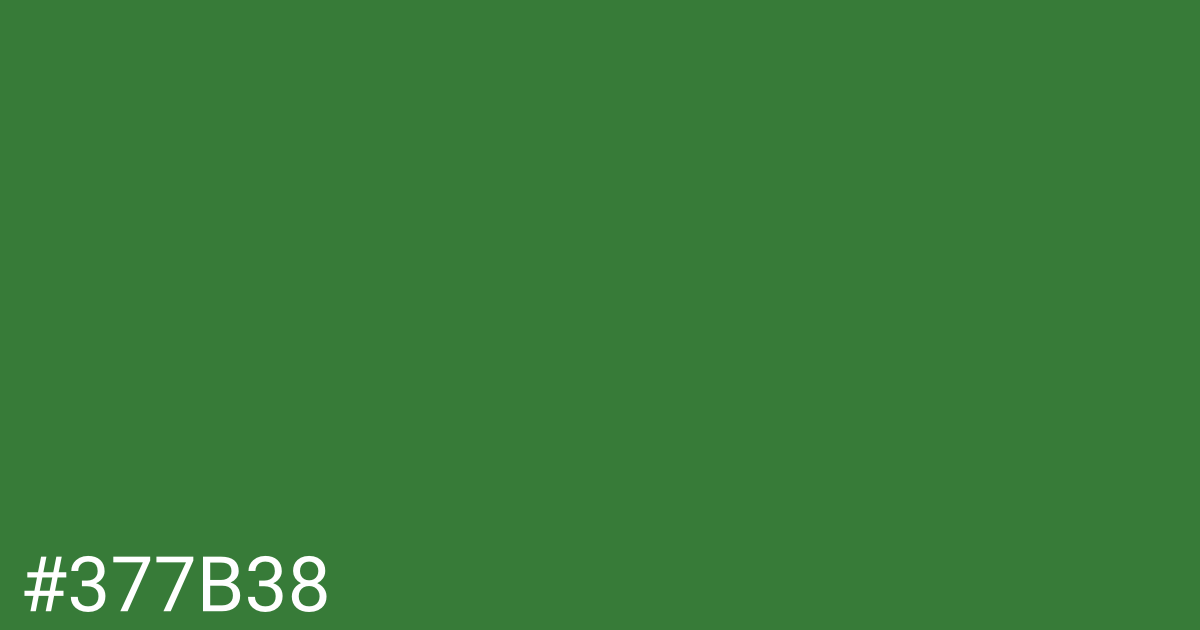 Hex color #377b38 graphic