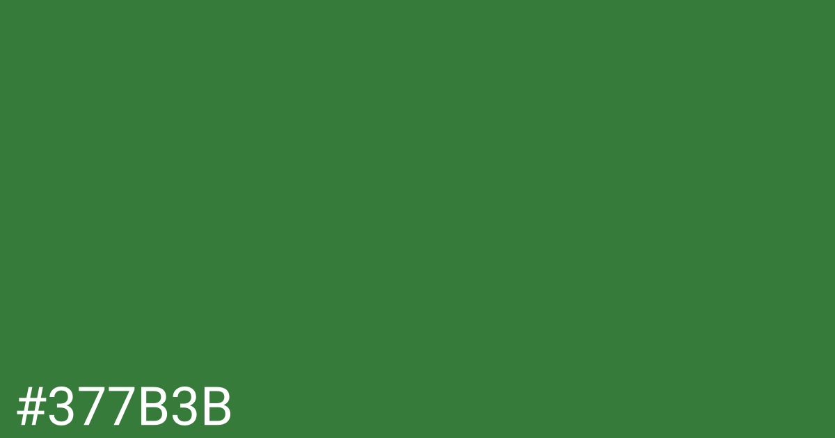 Hex color #377b3b graphic