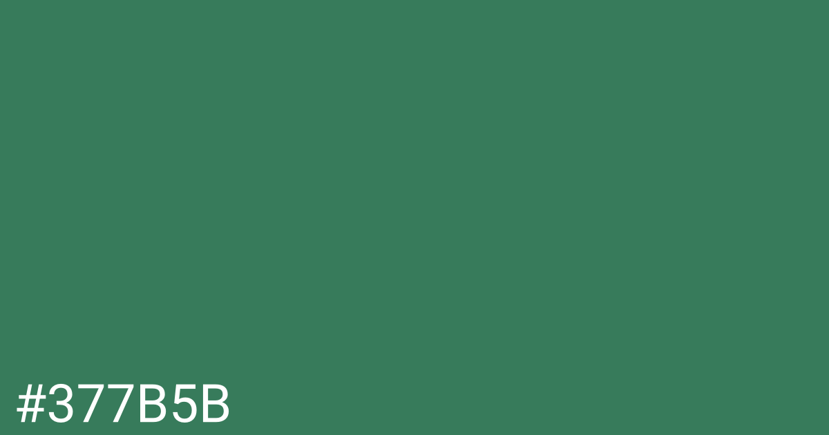 Hex color #377b5b graphic