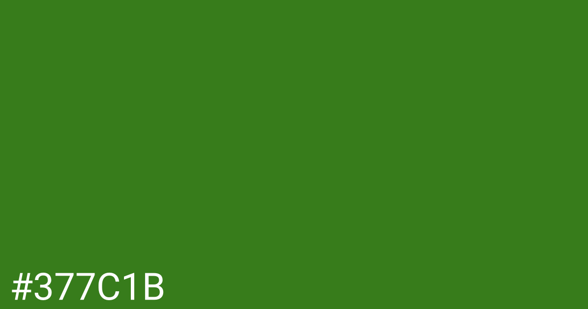 Hex color #377c1b graphic