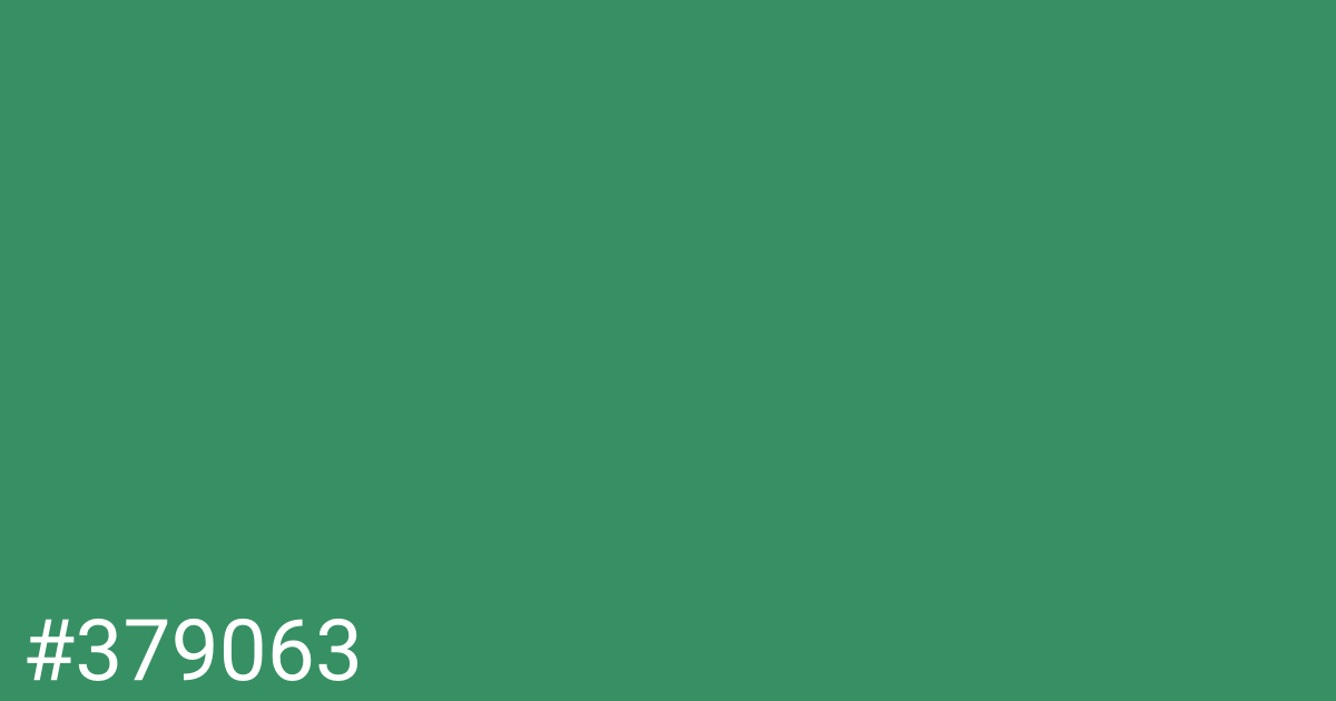 Hex color #379063 graphic