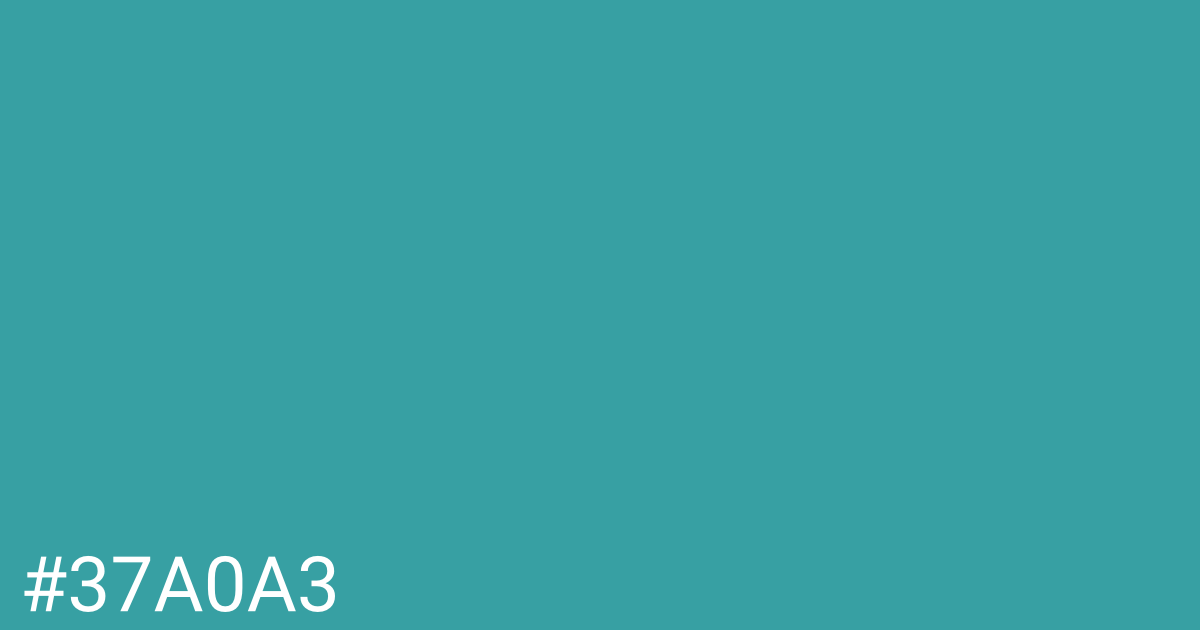 Hex color #37a0a3 graphic