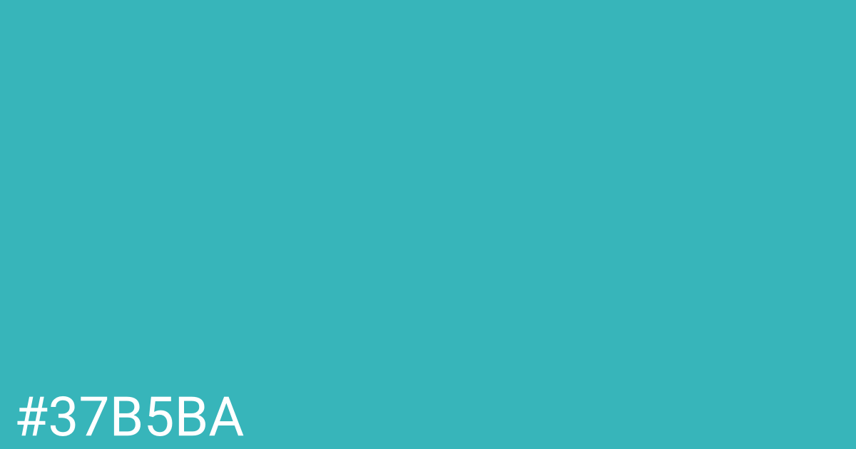 Hex color #37b5ba graphic