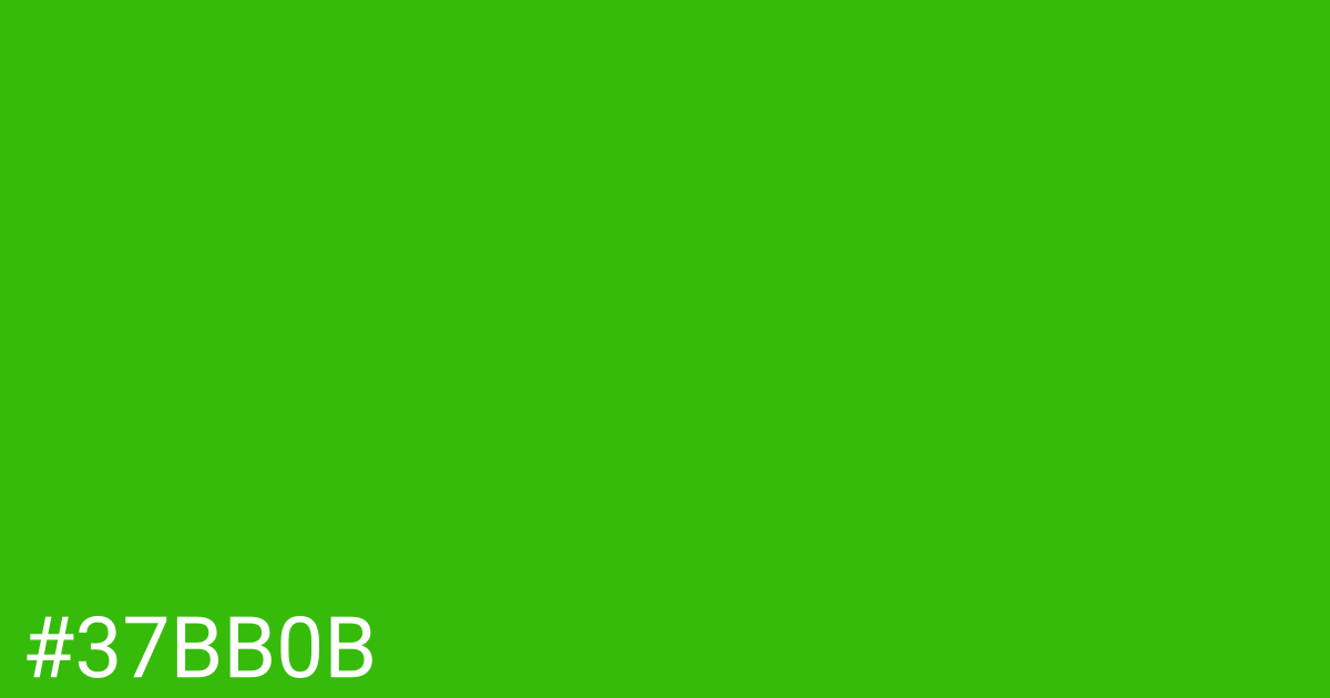 Hex color #37bb0b graphic