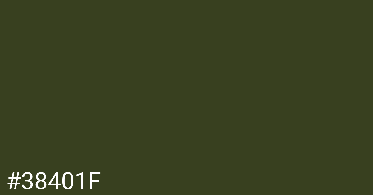 Hex color #38401f graphic