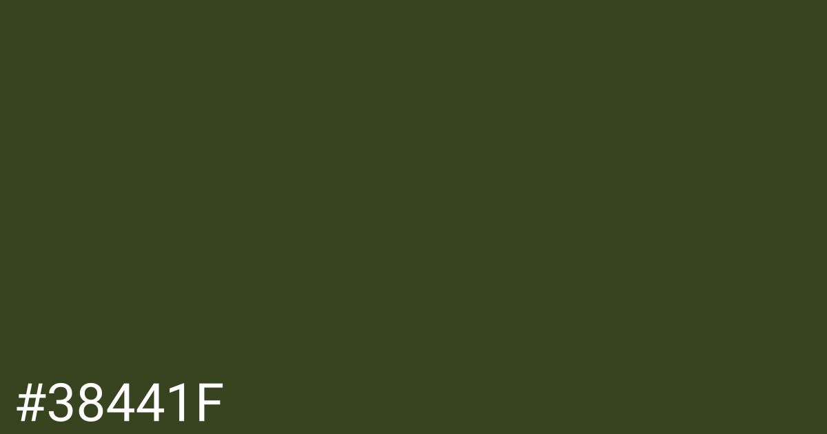 Hex color #38441f graphic