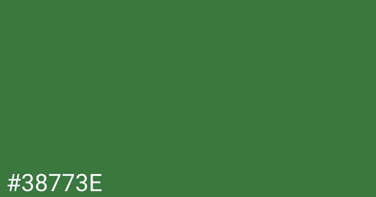 Hex color #38773e graphic