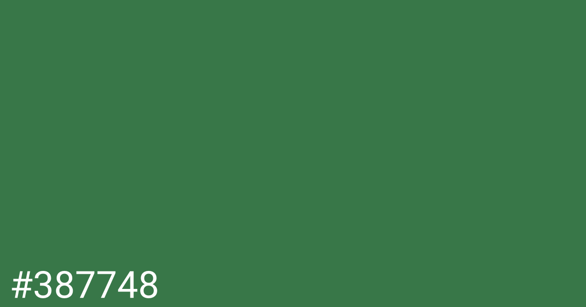 Hex color #387748 graphic