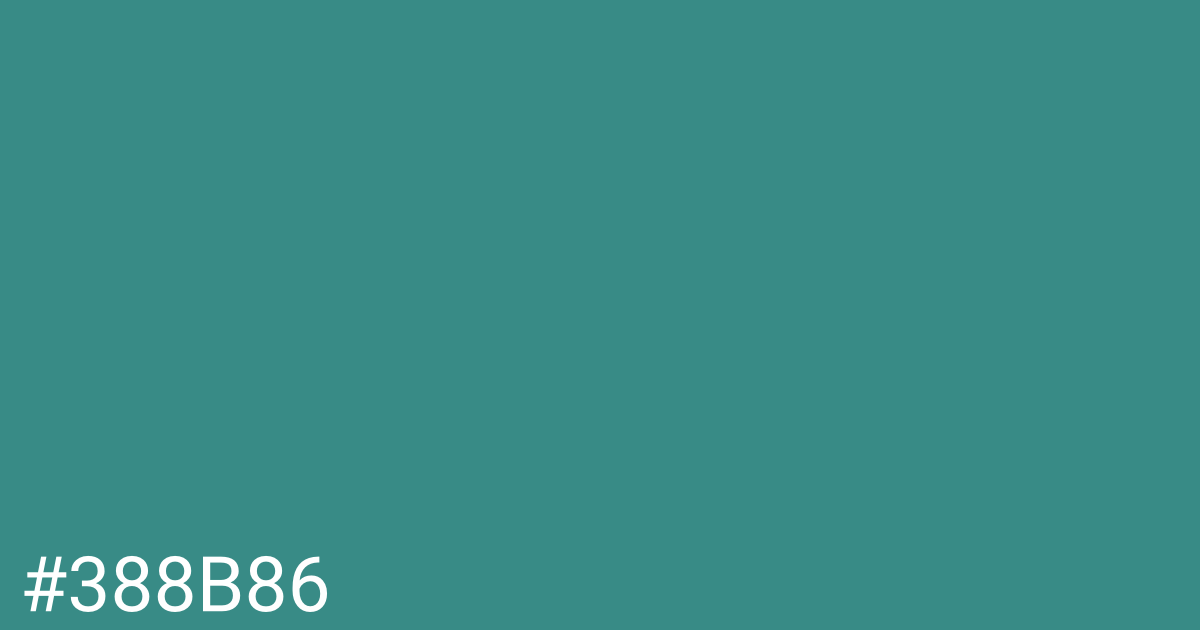 Hex color #388b86 graphic