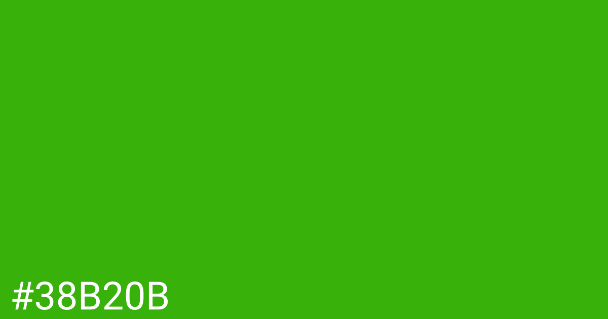 Hex color #38b20b graphic