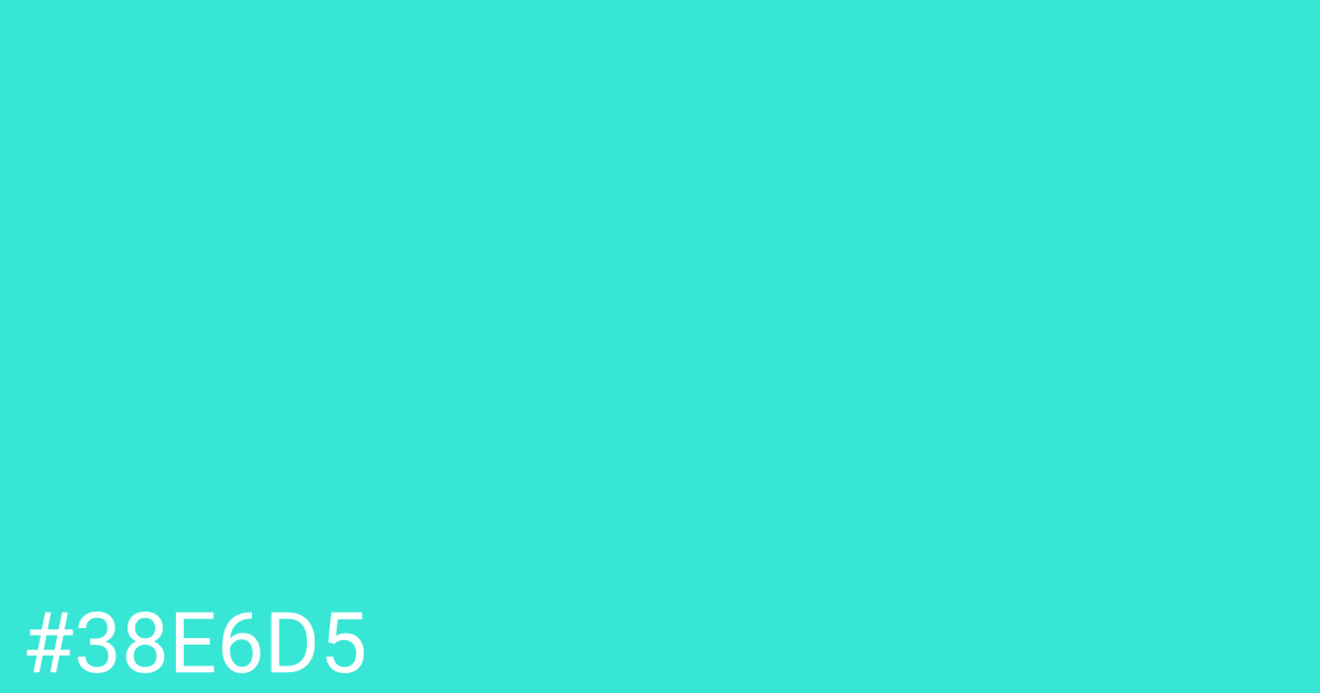 Hex color #38e6d5 graphic