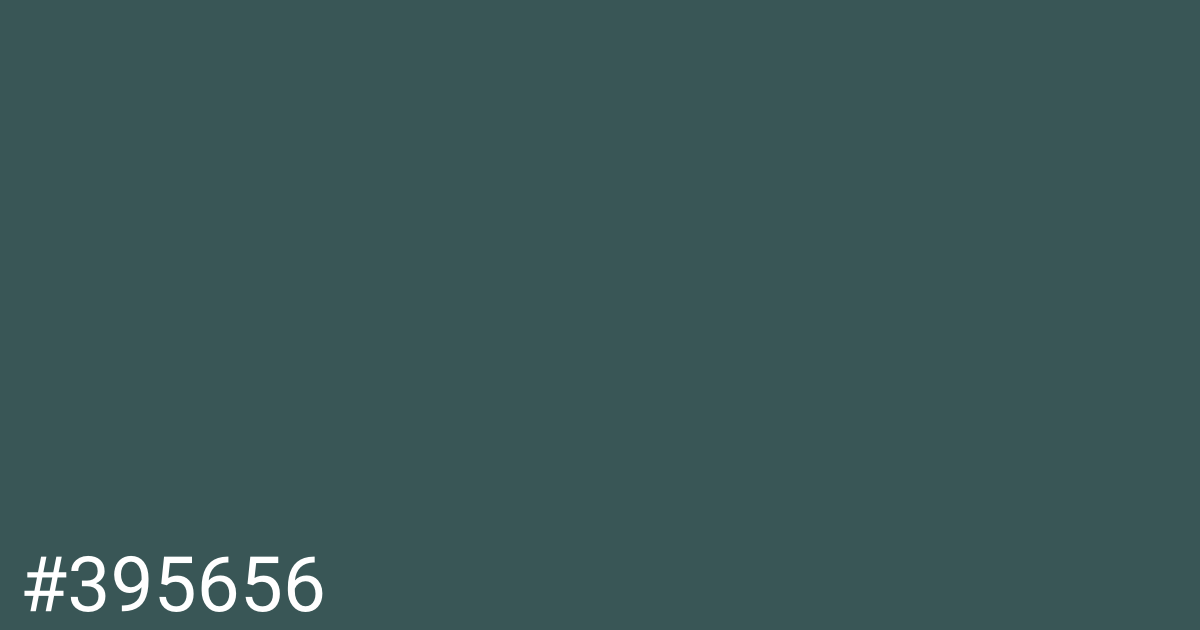 Hex color #395656 graphic