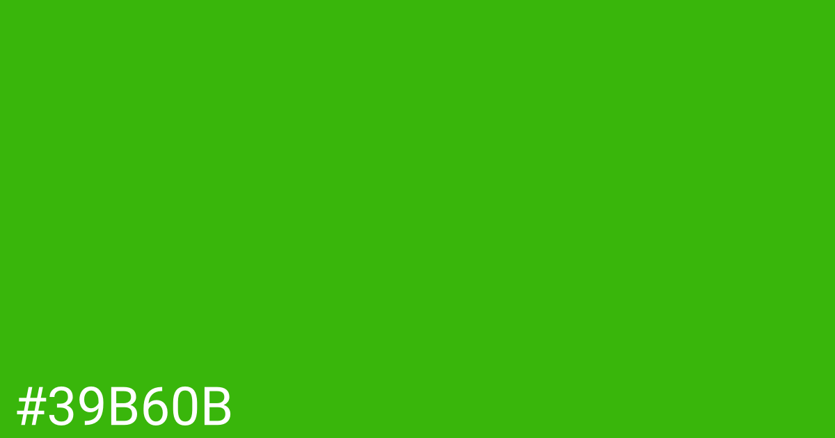 Hex color #39b60b graphic