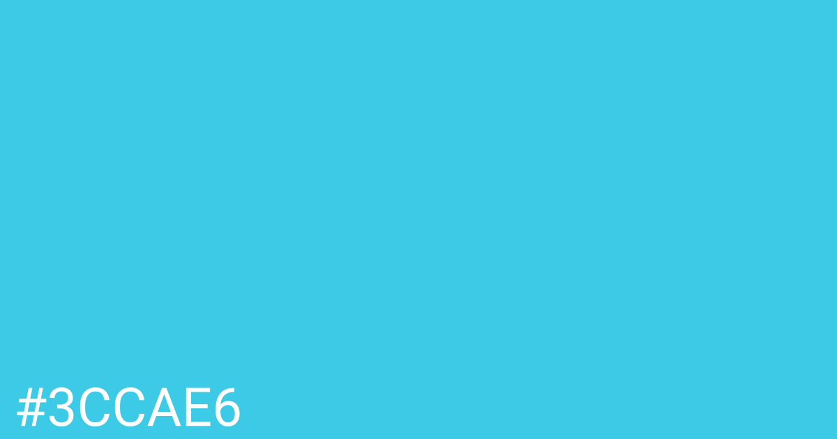 Hex color #3ccae6 graphic