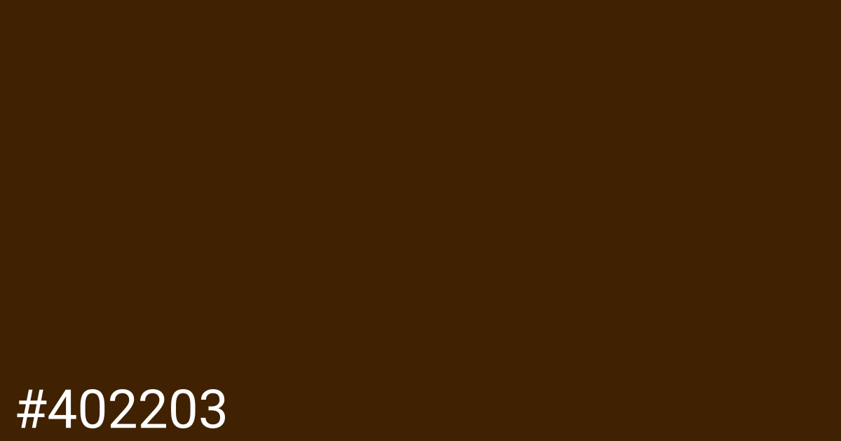 Hex color #402203 graphic