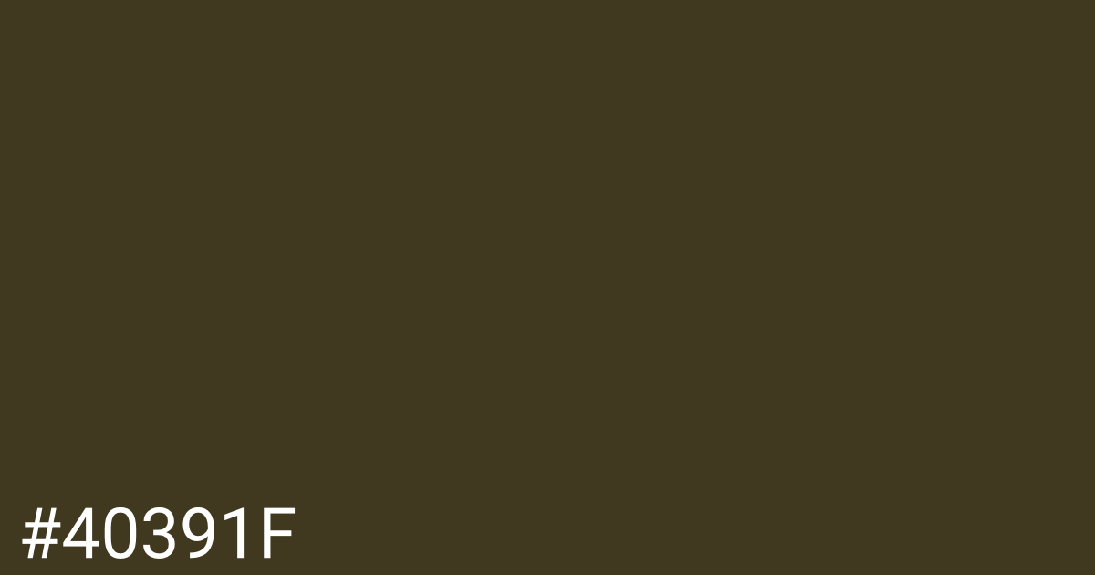 Hex color #40391f graphic