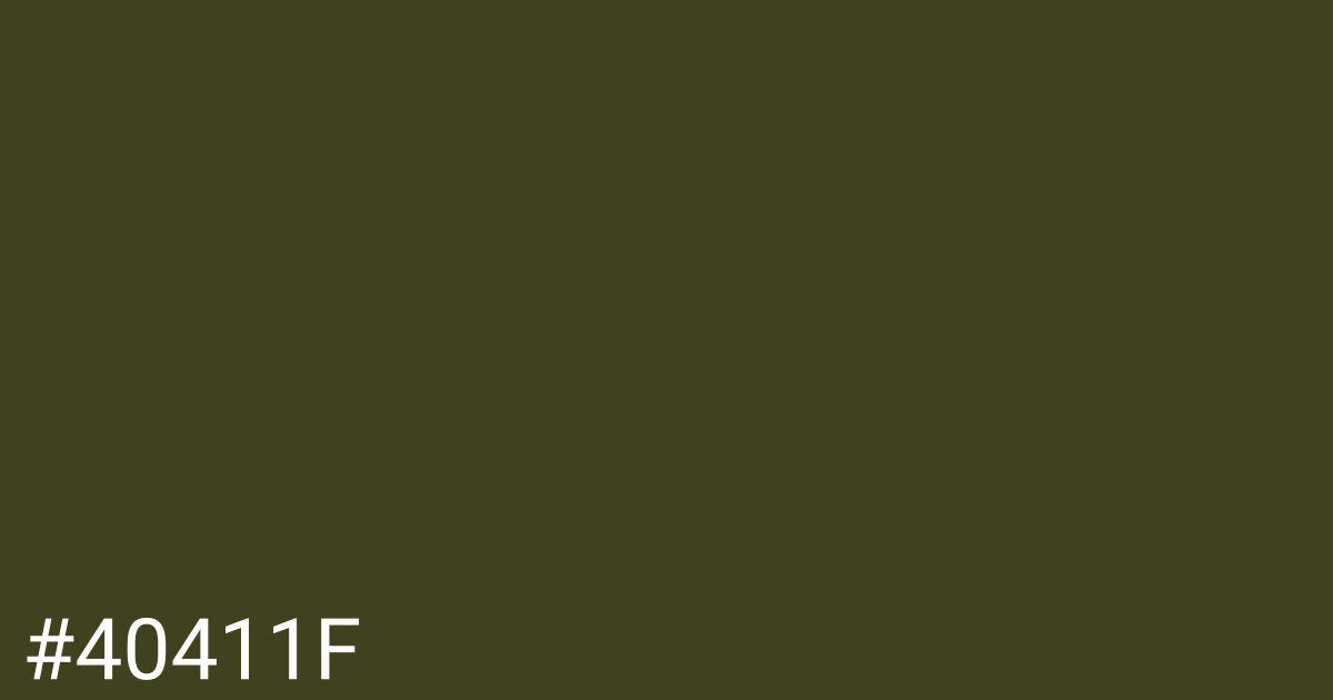 Hex color #40411f graphic