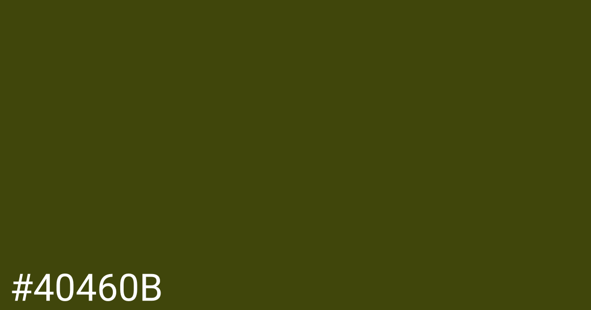 Hex color #40460b graphic